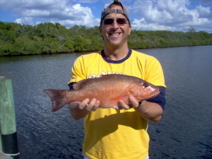 19 inch mangrove snapper