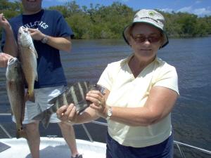 15 inch sheepshead and two keeper reds
