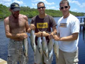 Spanish mackerel