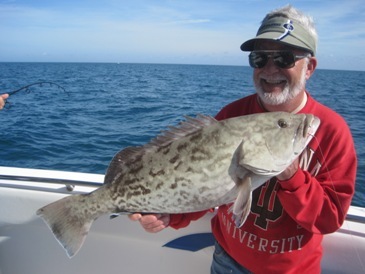 32-inch, 13-pound gag grouper, released