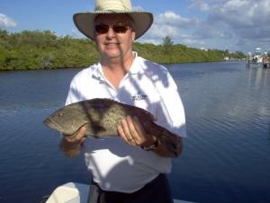 22.5 inch gag grouper