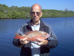 17 inch mutton snapper on shrimp