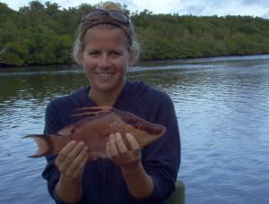 15.5 inch hogfish, on shrimp