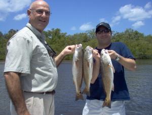 redfish trio to 21 inches