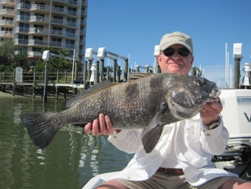29-inch, 18-pound black drum