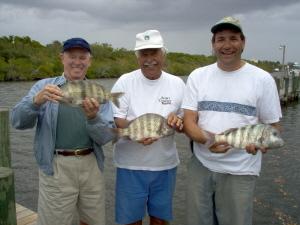 3 sheepshead-17 inches--on shrimp