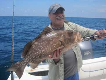 28-inch red grouper