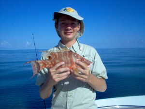 15-inch hogfish