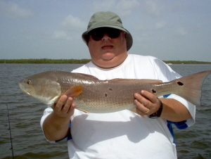 28.5 inch bull red, released in Estero Bay