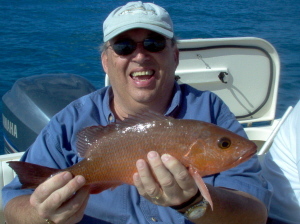 18 inch mangrove snapper
