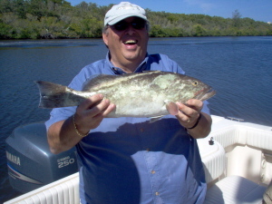 23 inch gag grouper, on shrimp, off Bonita Beach, SW FL