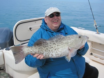 28-inch gag grouper