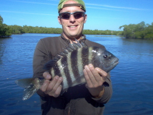 18 inch bay sheepshead