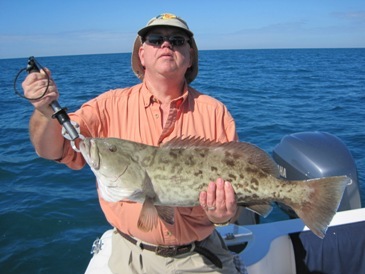 30-inch gag grouper, caught on a blue runner, off Bonita Beach, SW FL