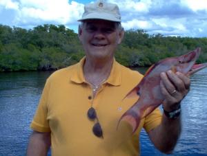 hogfish (hog snapper)