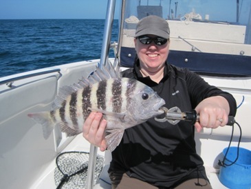 18 1/2 inch sheepshead