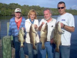 gag grouper quartet, 22, 25, 26, 27 inches