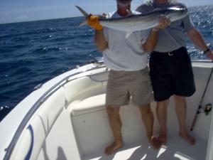 1 of 4 kingfish to 20 pounds landed 10-22 in 65 feet