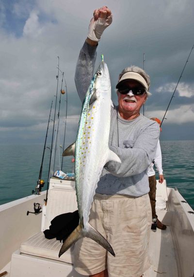 Spanish Mackerel