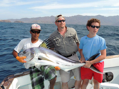 Huge Roosterfish