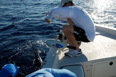 Wrangling a sail for a release