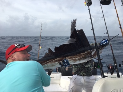 Jupiter Fishing Charters