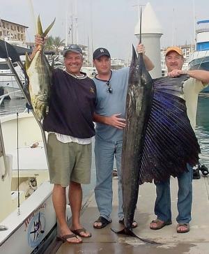 sailfish small tuna