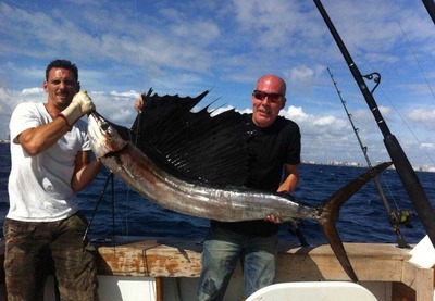 Nice sailfish just caught in Fort Lauderdale