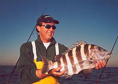 Georgia Fishing - Sheepshead