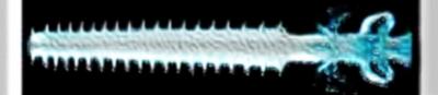 Sawfish Nose