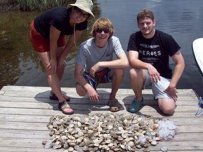 Nice pile of scallops