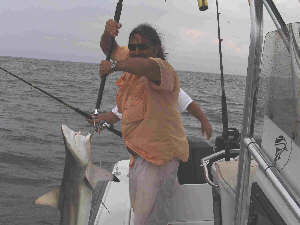 Nice shark captain Jesse