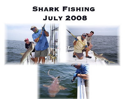 Shark fishing is always fun!