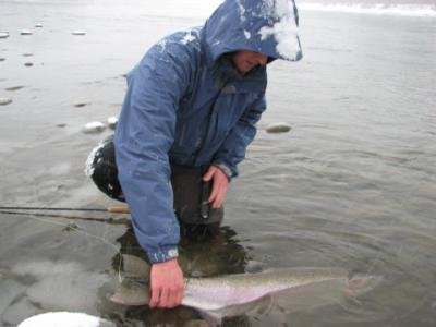 Sky Richard with a Skeena River winter Steelhead