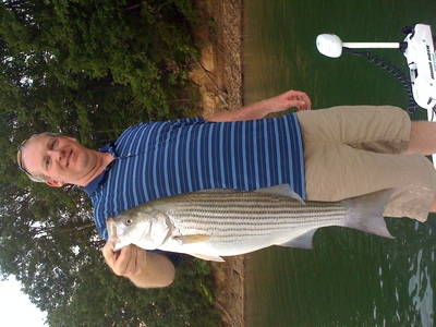 No Big Ones, But Plenty Of Action