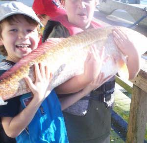 A Picture is worth a thousand words !