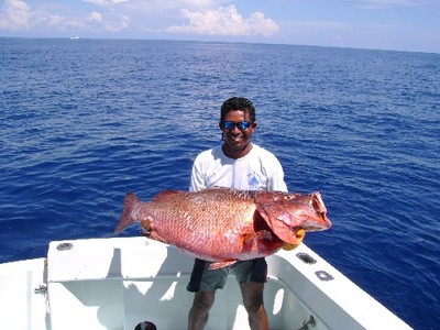 Memo�s Snapper is a bit larger