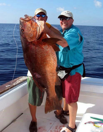 One of the many species we catch