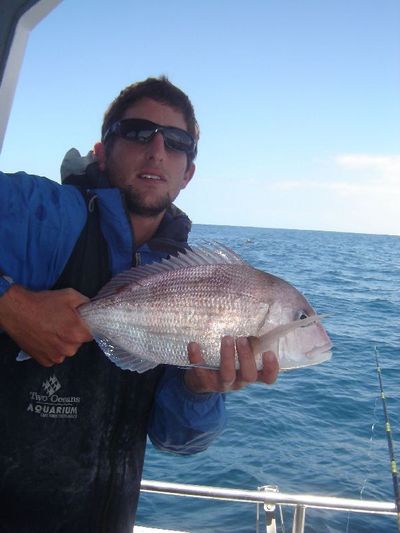 A nice Santer (Soldier)