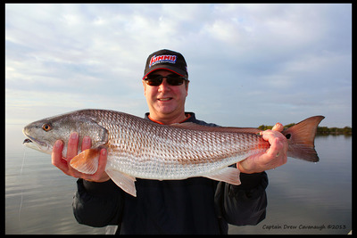 Sight Fishing Red Drum