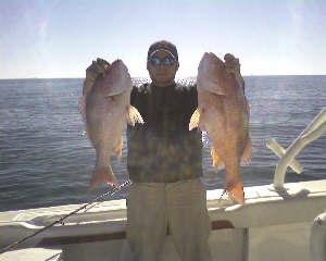 Pretty Pink statewater Shallow snapper