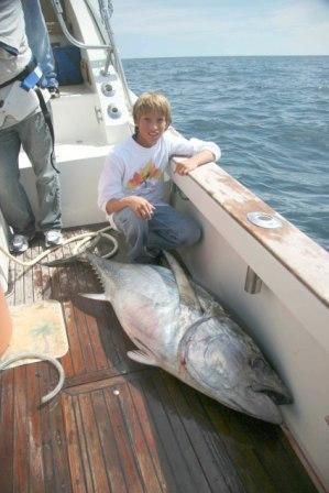Bluefin Landed - Caught via Kite