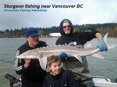 March Sturgeon on Fraser river BC