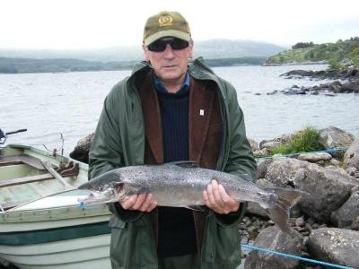 Wild Atlantic Salmon