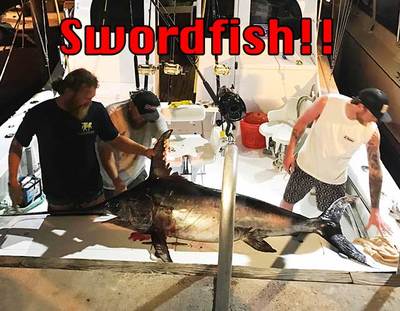 Nice swordfish