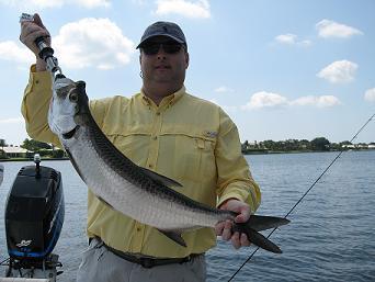 10lb tarpon