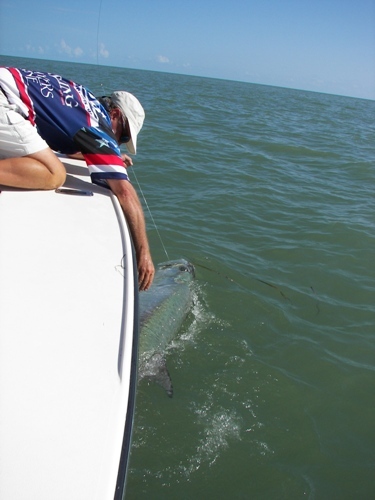 Beach Tarpon