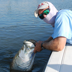 Tarpon
