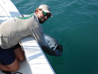 Jumping a Tarpon this week on Capt. Chris\' boat