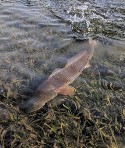 When all else fails, go shallow!